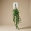 Artificial mini Jasmine - Hanging plant - 80 cm
