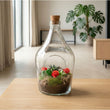 Love in a Bottle - Open terrarium met kurk - DIY kit - Ecosysteem plant - Ø 16 cm ↑ 30 cm