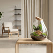 Drop XXL Rood - Planten Terrarium met kurk - DIY kit - Ecosysteem plant - Ø 34 cm ↑ 43 cm