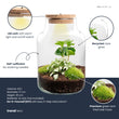 Little Milky - Flaschengarten mit Licht - DIY Terrarium mit Pflanzen im Glas - Ø 17 cm ↑ 25 cm