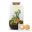 Sven XL Bonsai - Terrarium with light - Bottle garden DIY kit - Ø 23 cm ↑ 43 cm