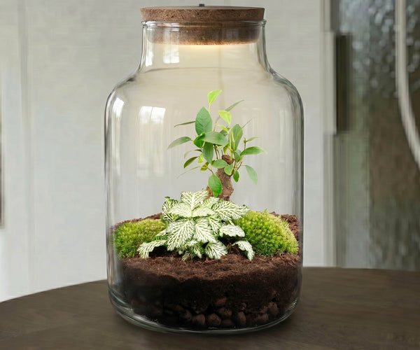 Can a Bonsai Tree Live in a Closed Aquatic Ecosystem? 