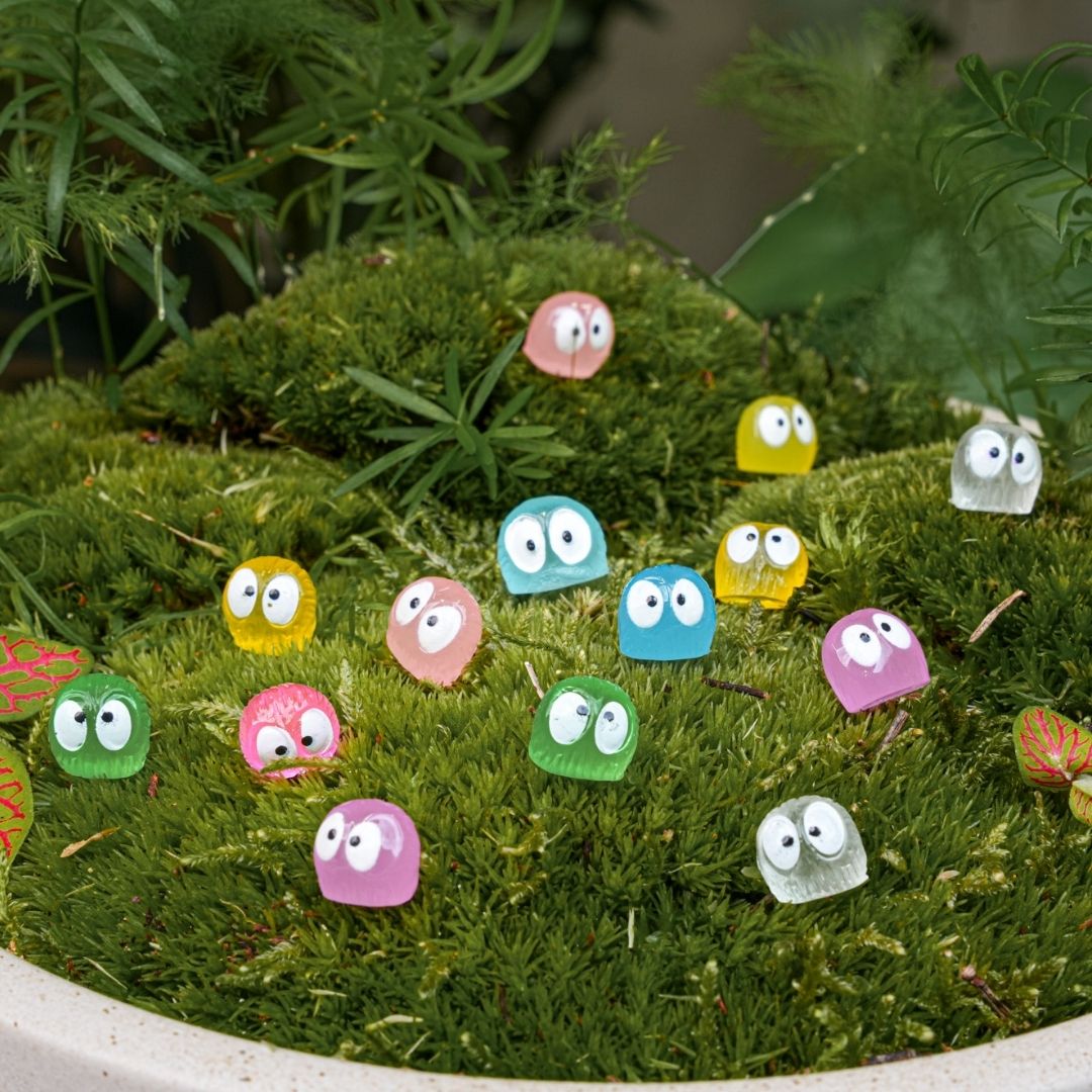 What extra items can you put in a terrarium?