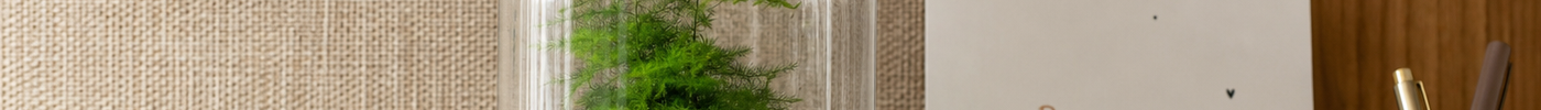 End-of-year thank-you gift for teachers: DIY mini terrarium