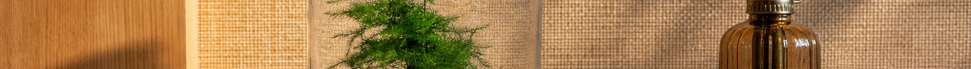 Summer vacation checklist for plant lovers