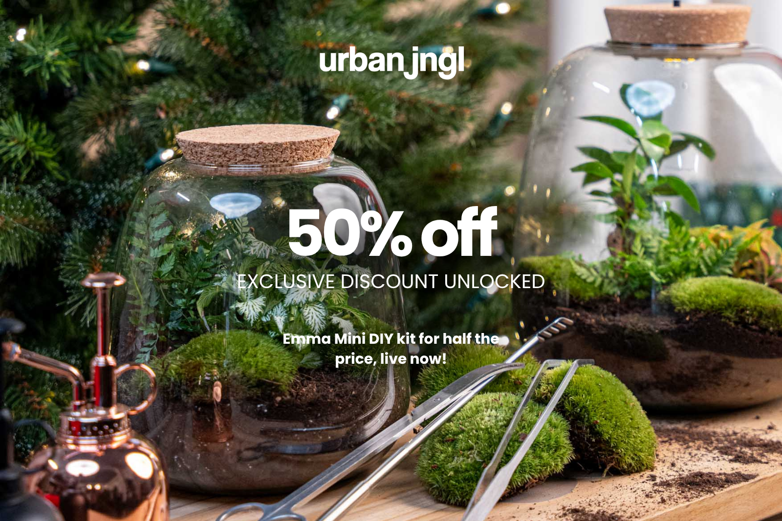 50% Off the Emma Mini DIY Kit – Double the Fun, Half the Price