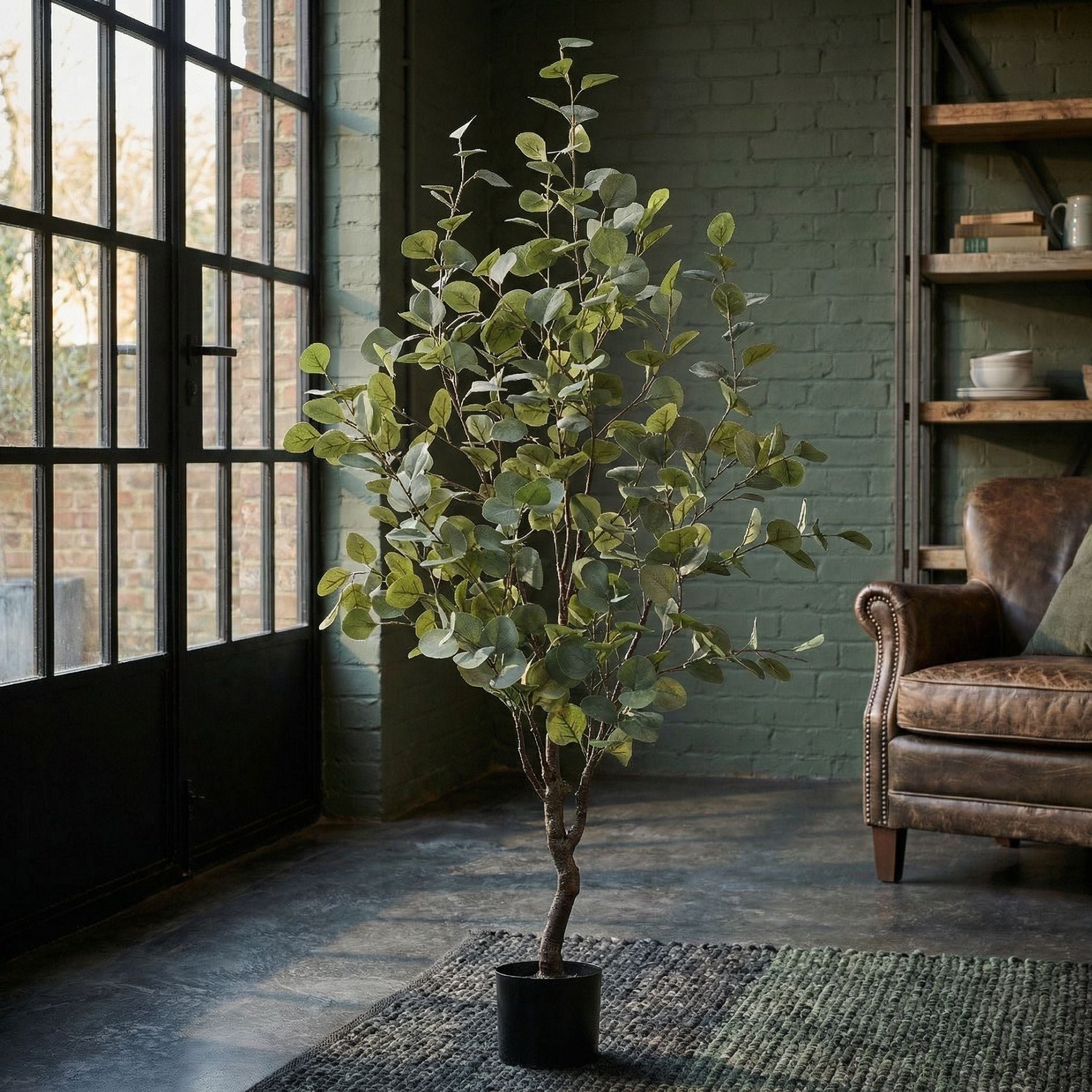 Brown leaves on your plants: causes, solutions & prevention