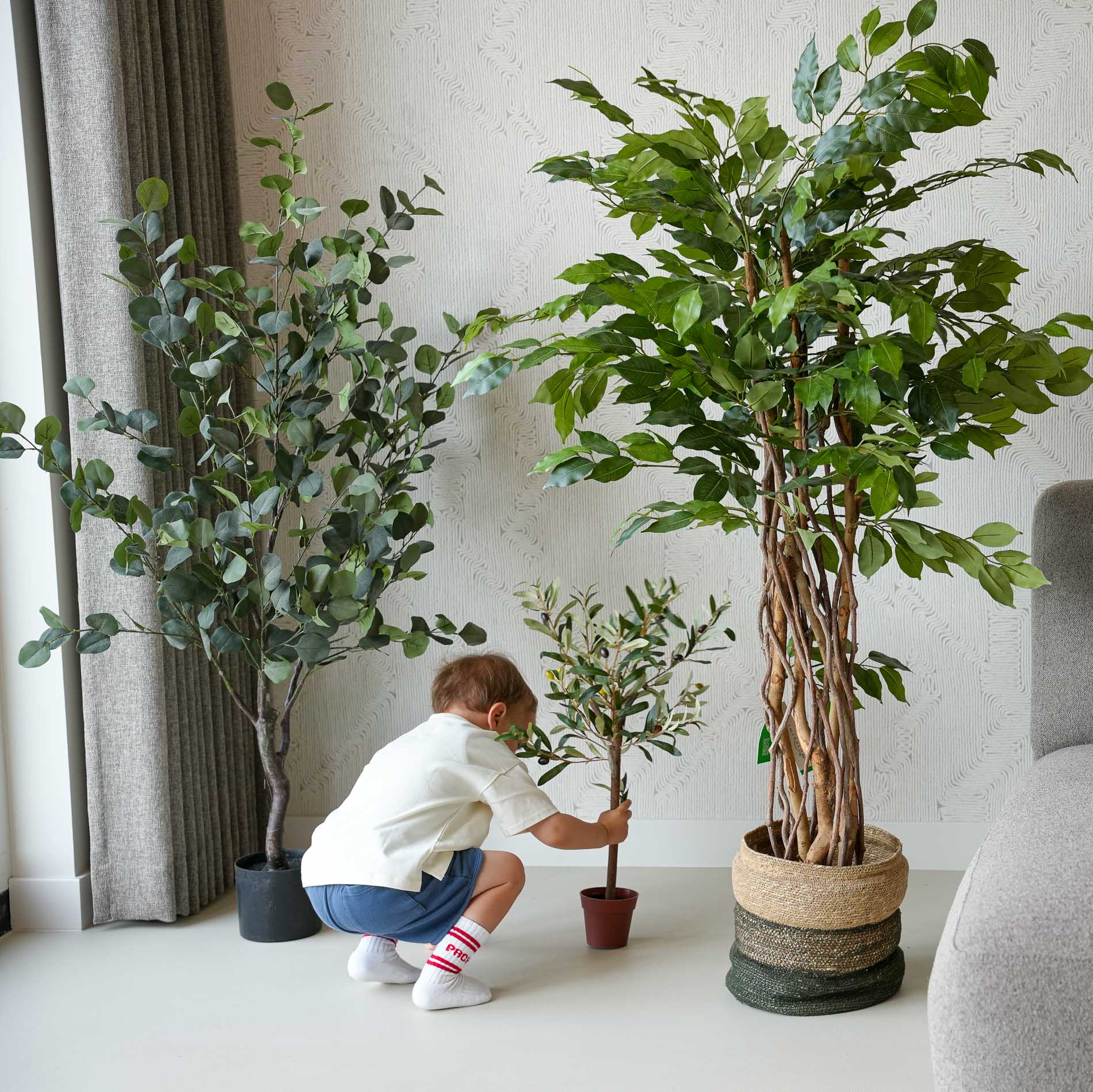 The best Father's Day gifts: Your green hack for every Dad