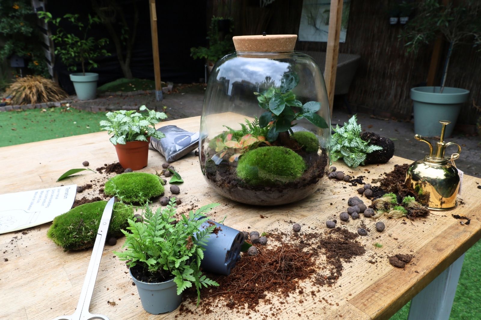 Summer plant care: how to keep your plants healthy during hot weather?