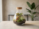 Sustainable Christmas gift for your customers, friends, family and business partners.