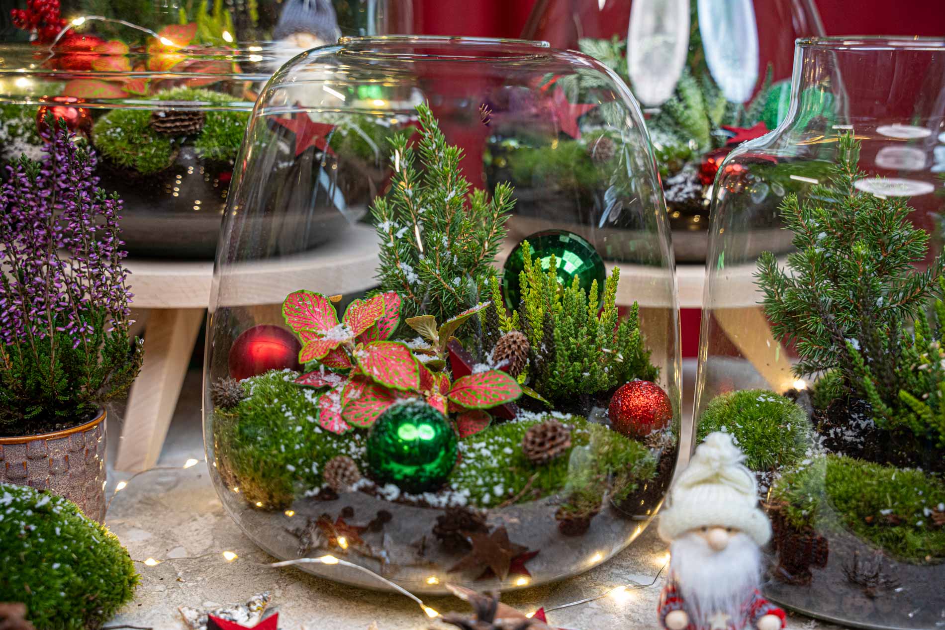 DIY: Style Your Own Christmas Plant Terrarium