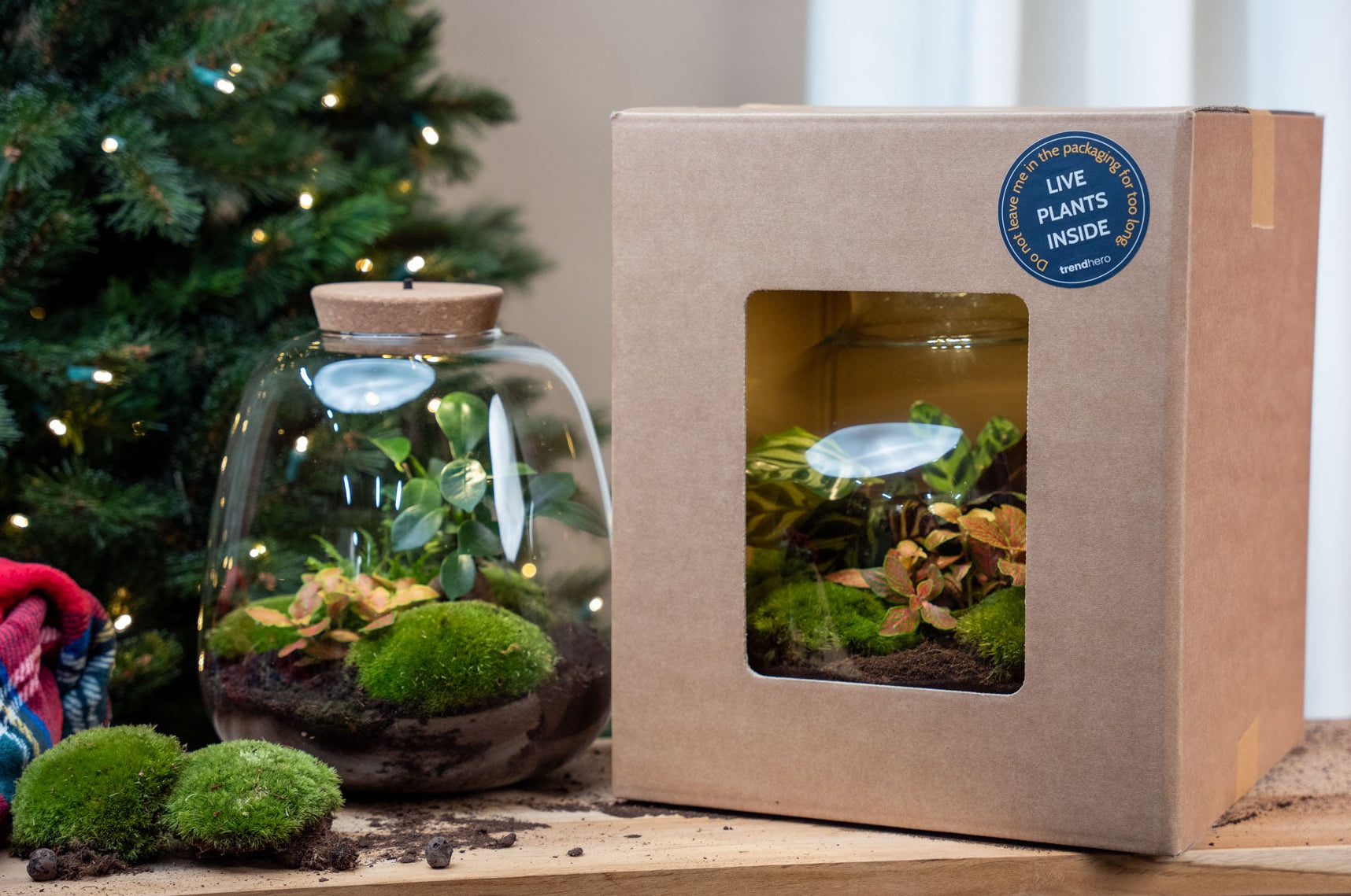 Make this Black Friday month a green edition