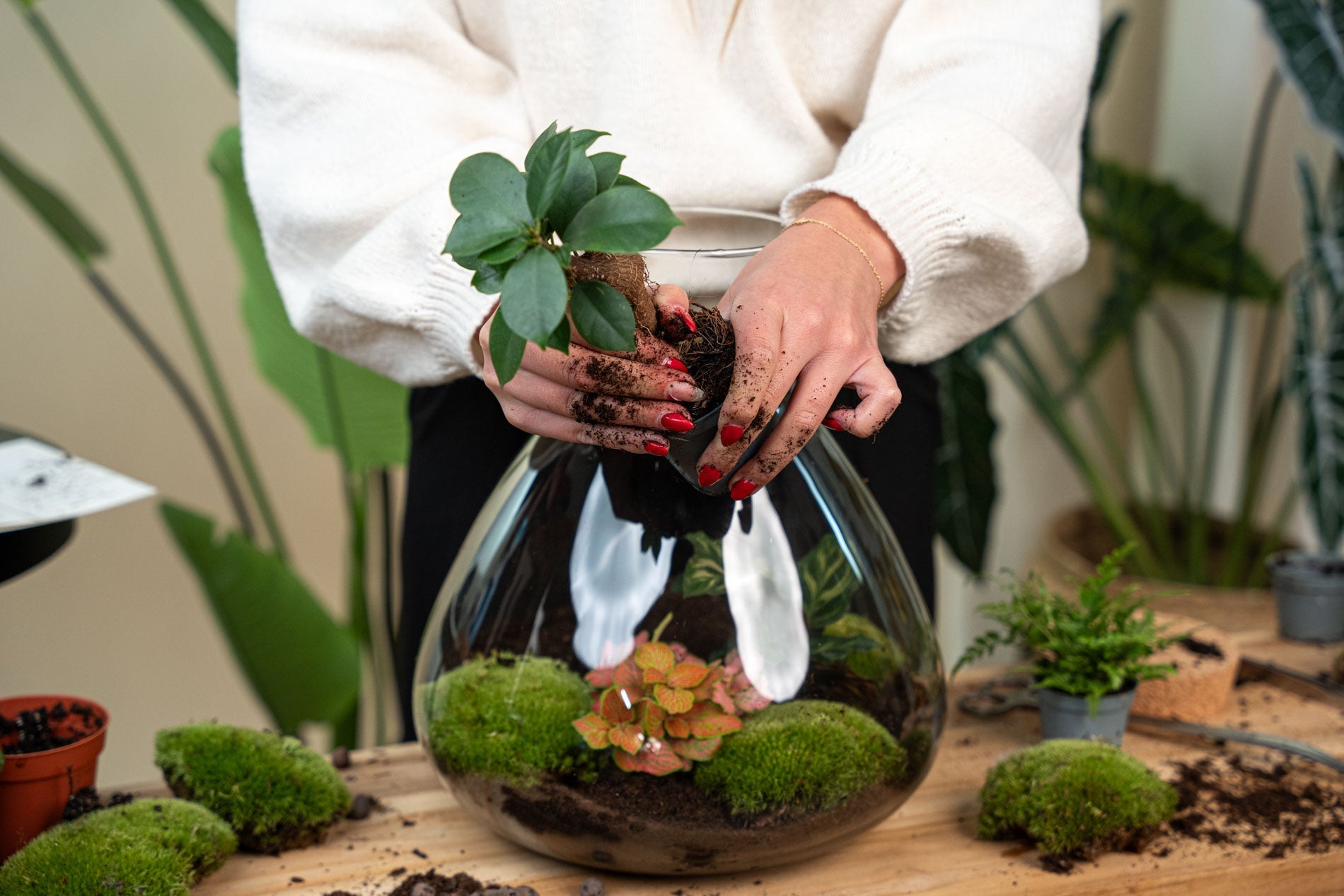 Step by Step: How to make your own terrarium
