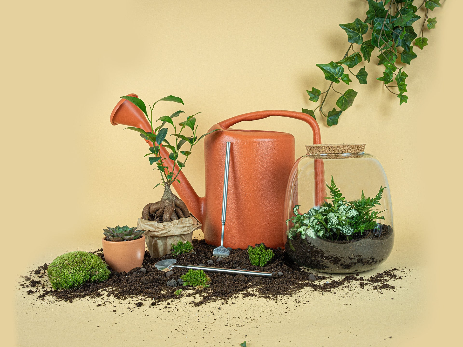 Handy & essential terrarium tools for a sustainable ecosystem