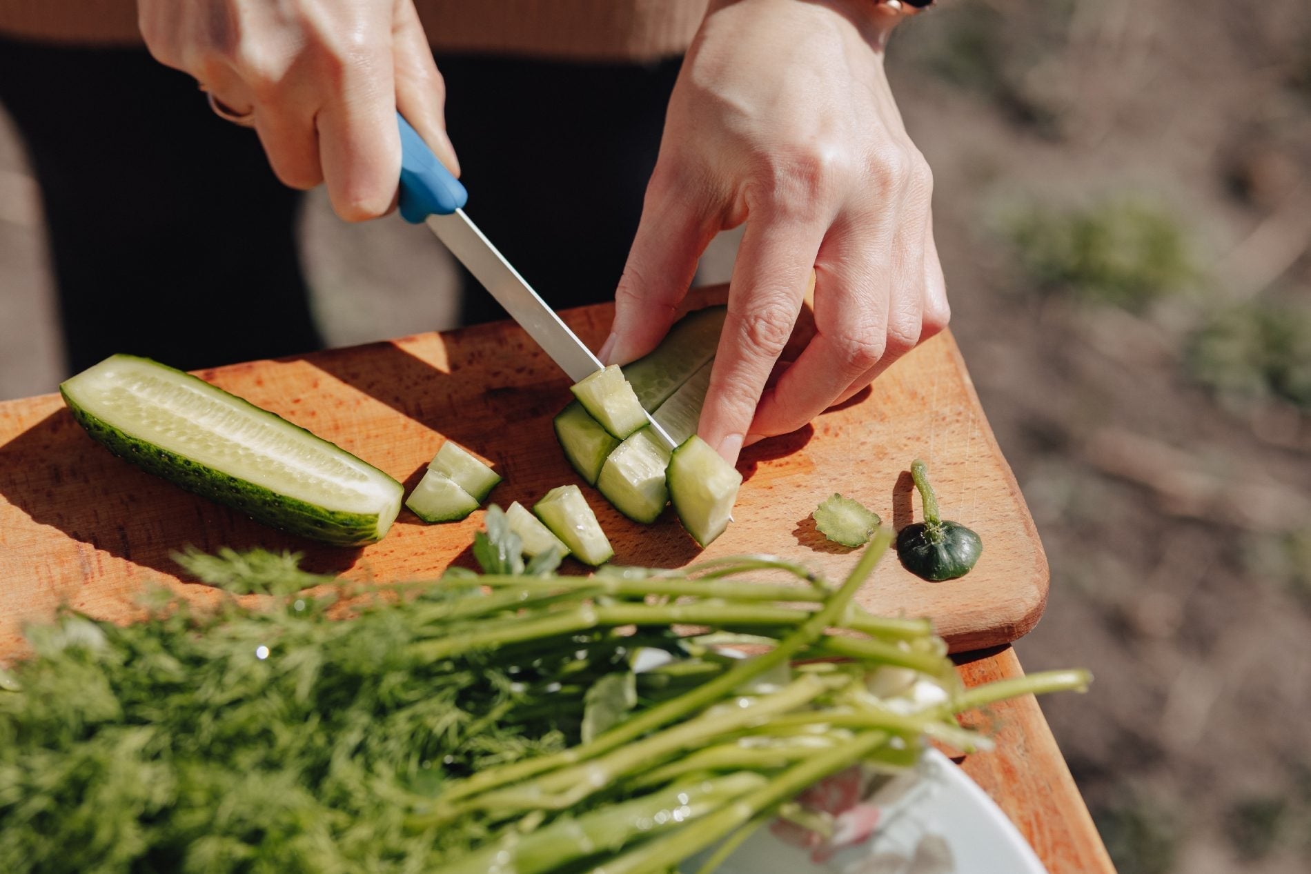 Cucumber time? Grow your own cucumbers!