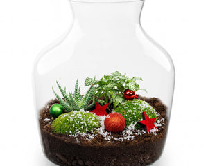 Christmas Terrariums