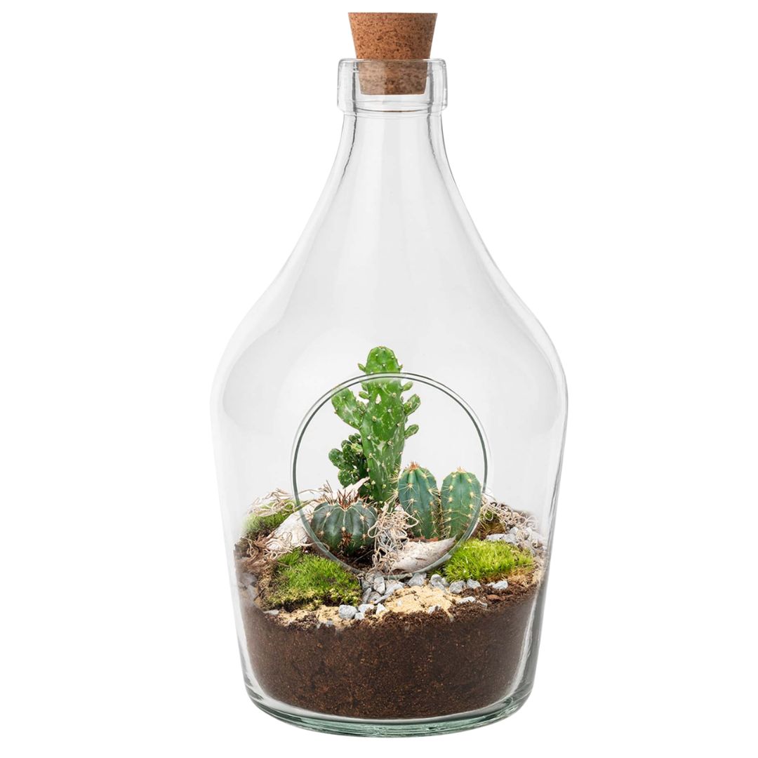 Bottle Garden - Closed Green Terrariums & DIY Kits – urbanjngl.com
