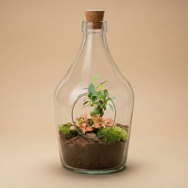 All open terrariums