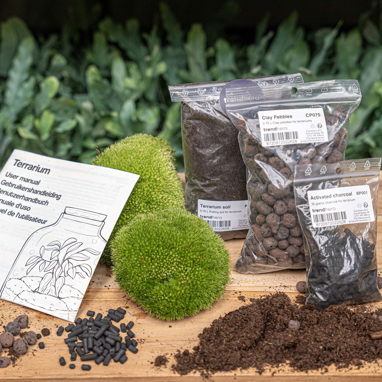 Terrarium refill/start kit – urbanjngl.com