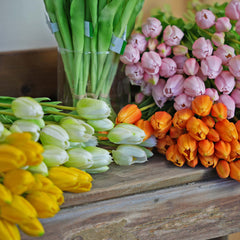 All Artificial Tulips