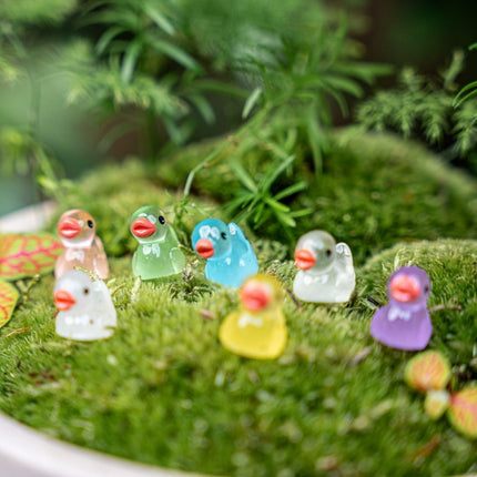 Leuchten im Dunkeln - Enten - Bunt - ↑ 2 cm - 7 Stück