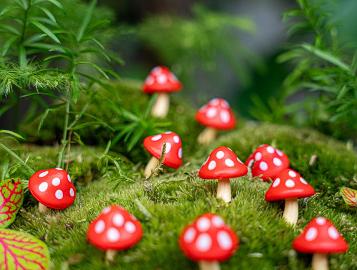 Miniatuurfiguren als herfstdecoratie