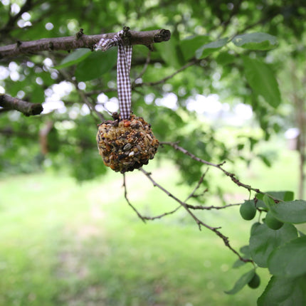 Piñas para comedero de pájaros DIY