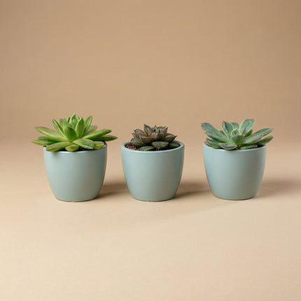 Urban Green Matte - Mini Plant Pot - Boule Pot blue - Ø 6 cm ↑ 6 cm