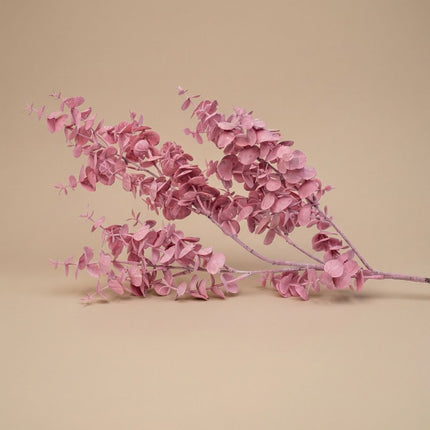 Decoratieve kunst Eucalyptus tak - 1 steel - ↑ 83 cm