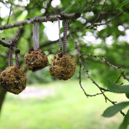 DIY-Vogelfutter-Tannenzapfen