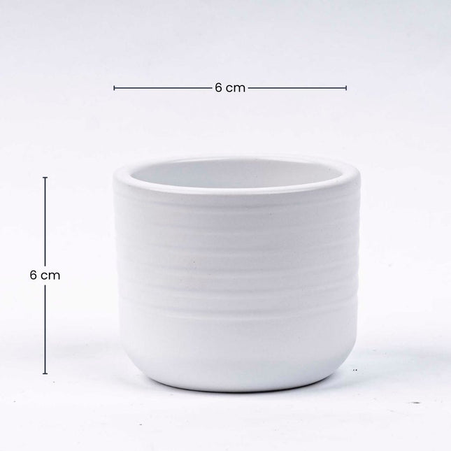 Donny - Mini Plant Pot - White - Ø 6 cm ↑ 6 cm