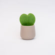 Joey - Mini Plant Pot - Grey matte - Ø 6 cm ↑ 6 cm