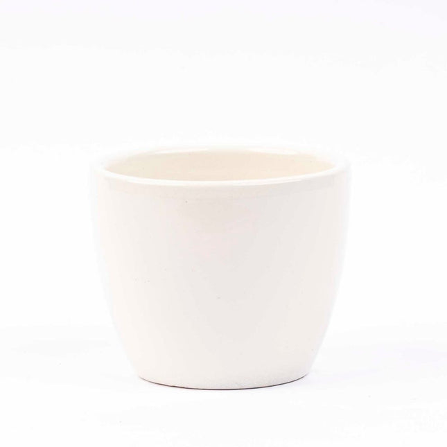 gloss plant pots Mini white plant pot for mini plants