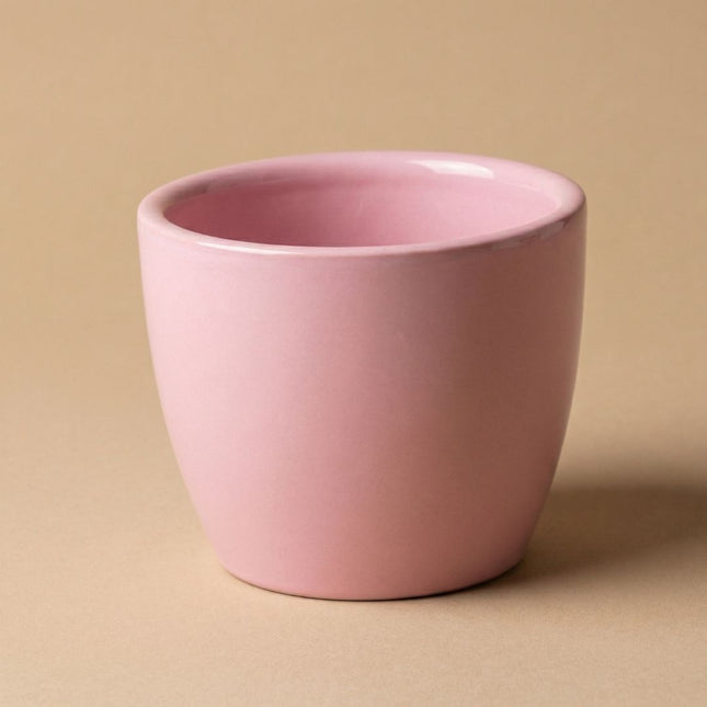 pastel pink plant pots Mini light pink plant pot for mini plants