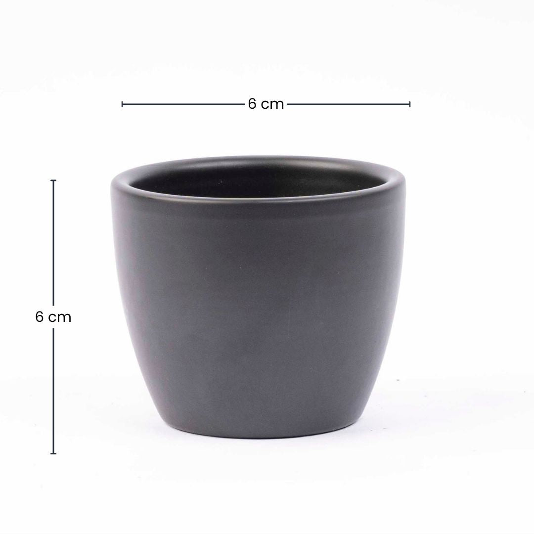 anthracite plant pots Mini ceramic anthracite pot for mini plants