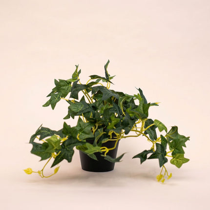 Ivy Hedera - Hangplant in pot - Kunstplant - Groen - ↑ 19 cm
