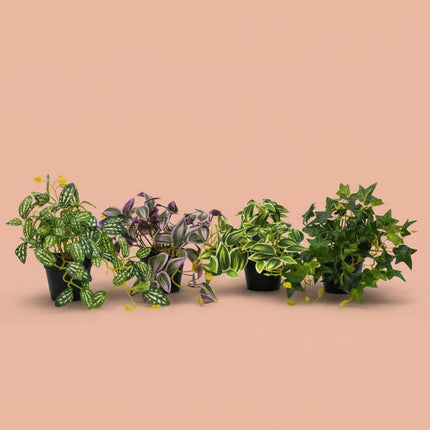 Ivy Hedera - Hangplant in pot - Kunstplant - Groen - ↑ 19 cm