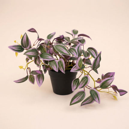 Tradescantia - Hängepflanze im Topf - Kunstpflanze - Grün/Lila - ↑ 19 cm
