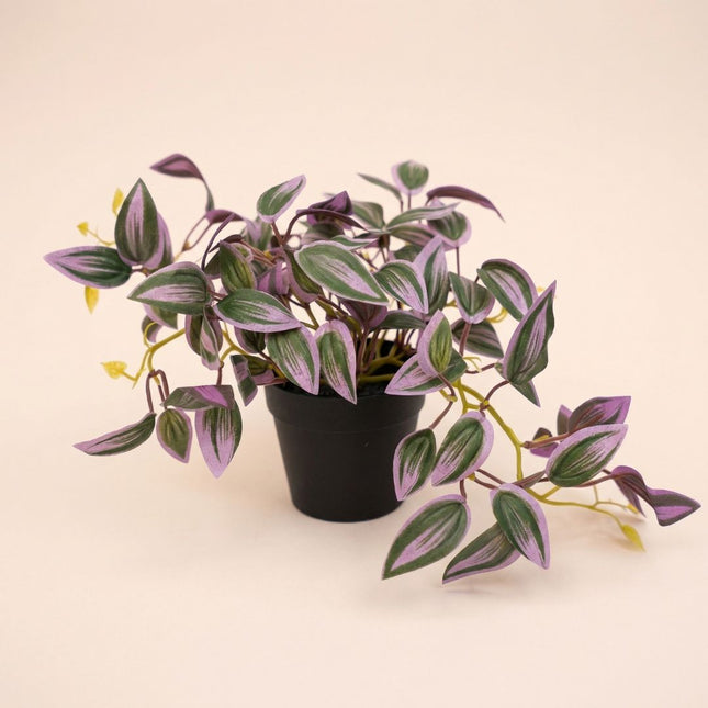 Tradescantia - hangplant in pot - kunstplant- Groen/paars - ↑ 19 cm