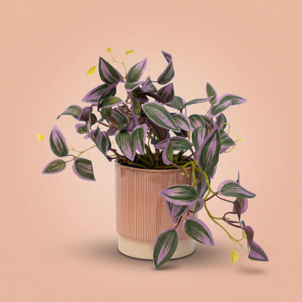 Tradescantia - Hängepflanze im Topf - Kunstpflanze - Grün/Lila - ↑ 19 cm