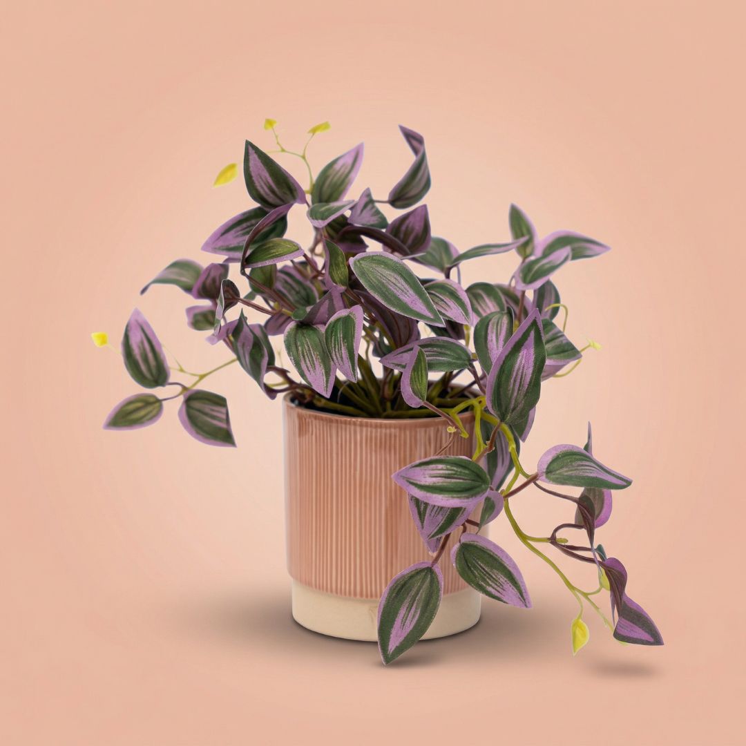 Tradescantia künstliche Hängepflanze grün-lila im Topf