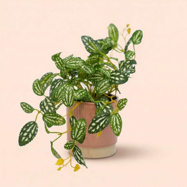 Pilea - Hangplant in pot - Kunstplant - Groen/wit - ↑ 19 cm