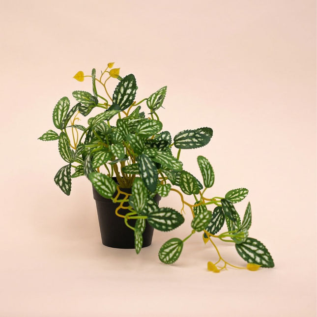 Pilea - Hangplant in pot - Kunstplant - Groen/wit - ↑ 19 cm