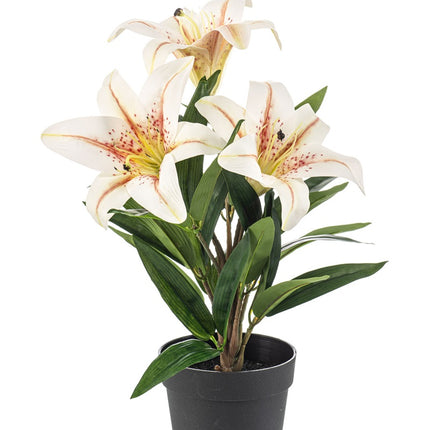 Lilie im Topf - Creme - Kunstpflanze - ↑ 33 cm
