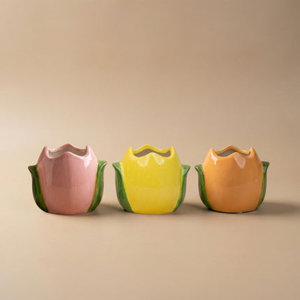 Easter plant pot set - Tulip pots with mini plants - Set of 3