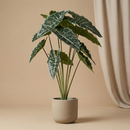 Alocasia 80 cm - Künstliche Pflanze