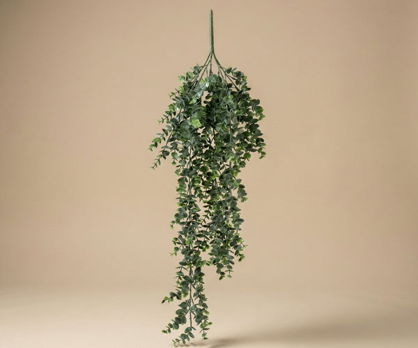 eucalyptus hanging plant real Artificial Eucalyptus