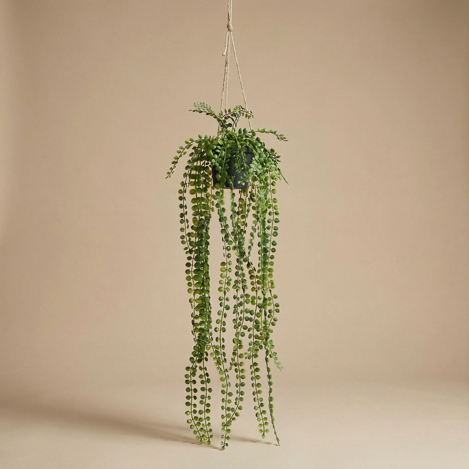 Artificial Ficus Pumila