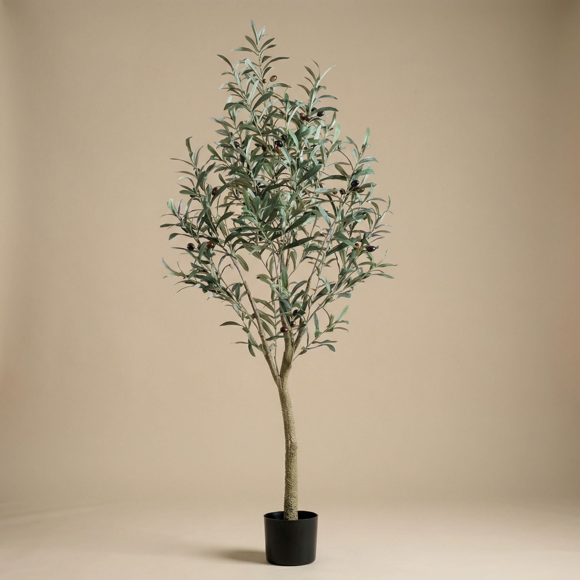 Lebensechter Olivenbaum