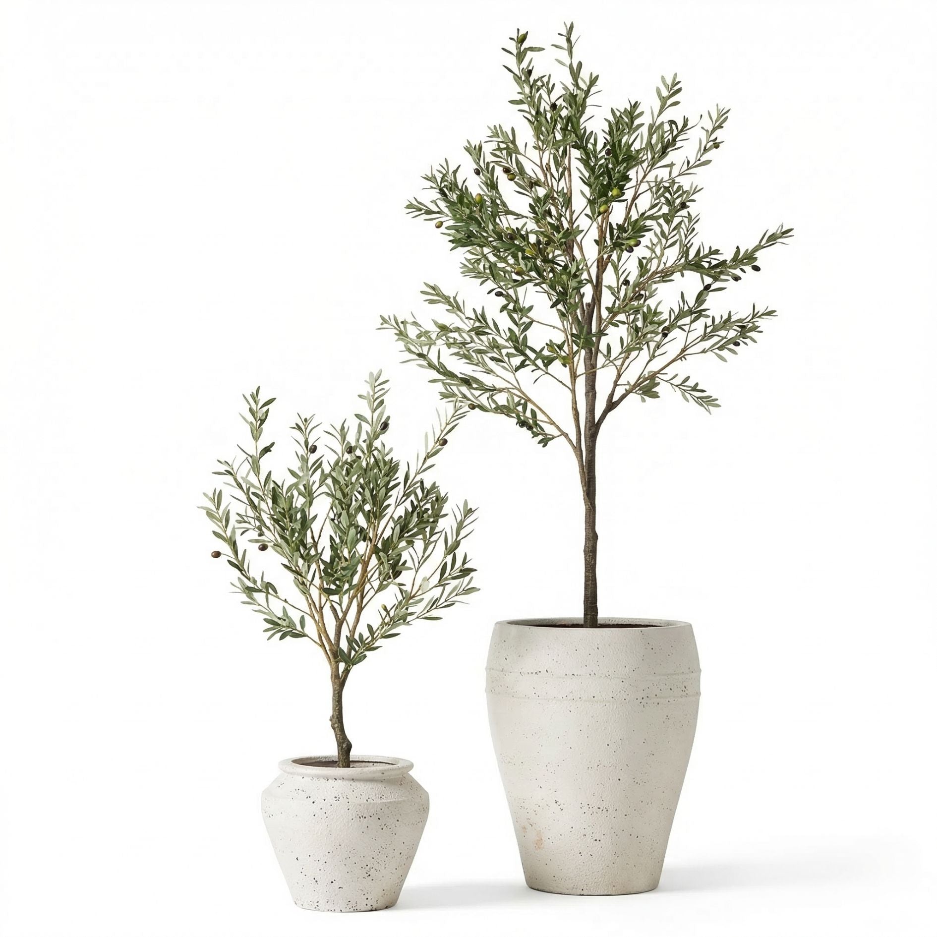 Lebensechter Olivenbaum